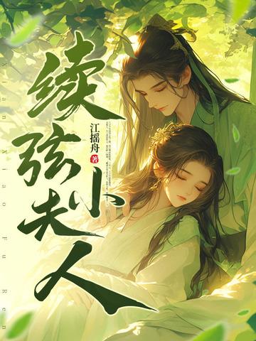 续弦小夫人 短剧
