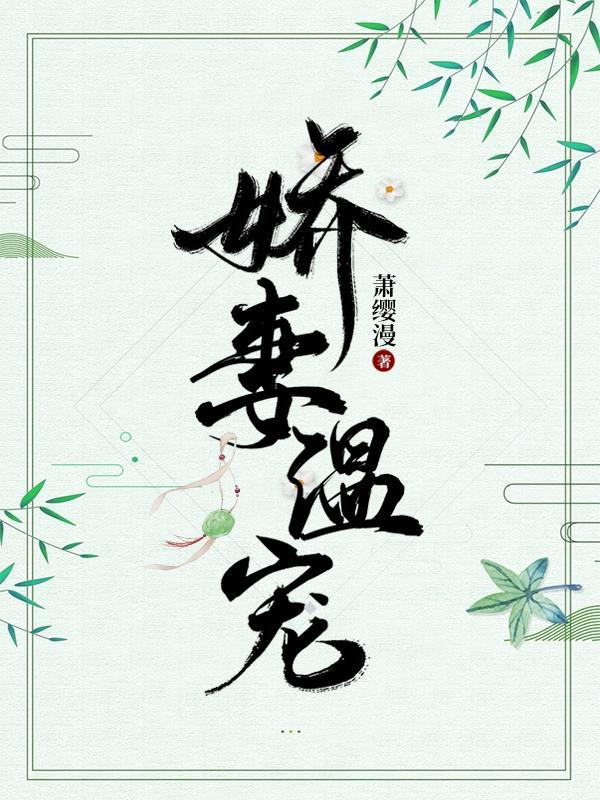 娇妻在上温薏墨时琛