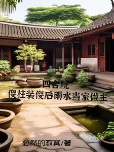 四合院傻柱绝不背锅