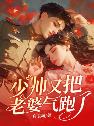 少帅你老婆又跑了免费阅读
