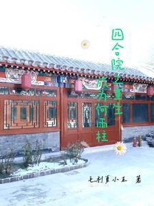 四合院之重生何雨柱16岁