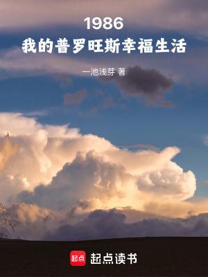 普罗旺斯的