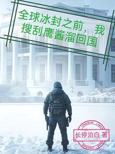 全球冰封之前我搜刮鹰酱溜回国 长停泊白 全球冰封之前我搜刮鹰酱溜回国 长停泊白