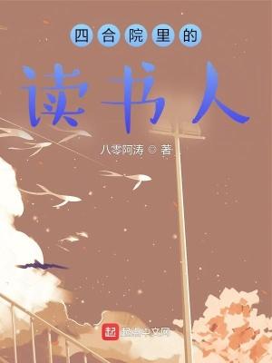 四合院里的读书人免费听书 四合院里的读书人免费听书