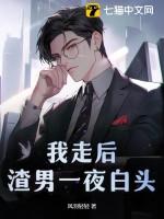我走后渣男一夜白头免费阅读 我走后渣男一夜白头免费阅读