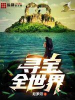 寻宝全世界纵横
