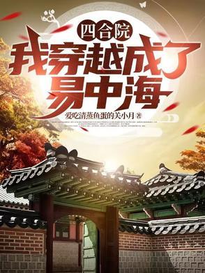 四合院穿越成易中海儿子的