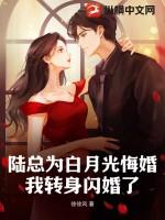 陆总的全集