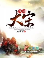 风雨大宋作者疯了