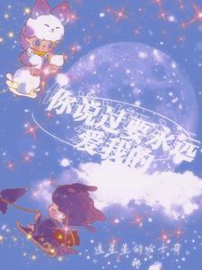 你说过会永远永远的爱我