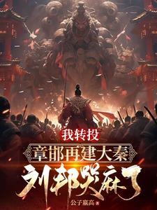 我重建大秦视频