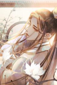 红楼林家子txt 红楼林家子txt