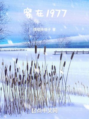 穿在1977TXT八零