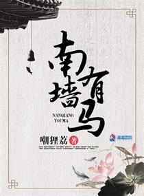 南墙是指什么