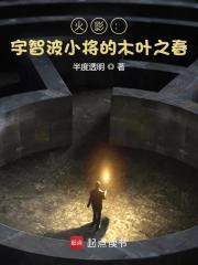 木叶之宇智波绳树免费阅读