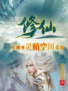 修仙从灵石开始 修仙从灵石开始